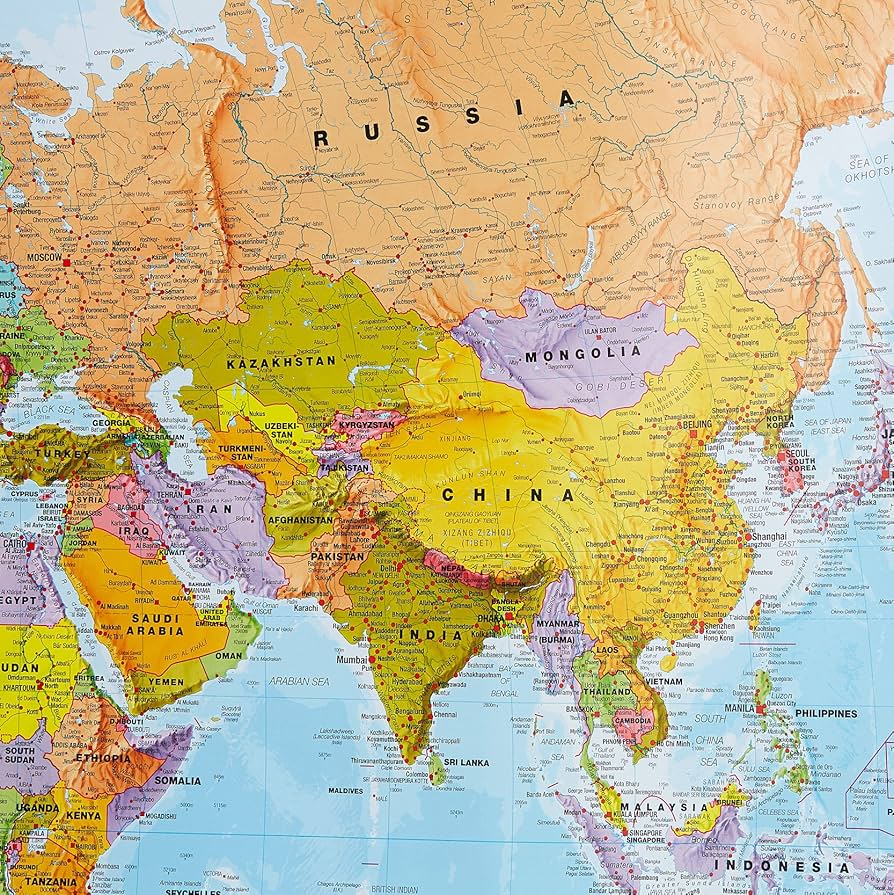 Amazon.co.jp: Giant World MegaMap 大型壁マップ WM001-492